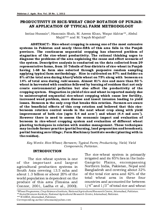 Study about rice in the philippines picture