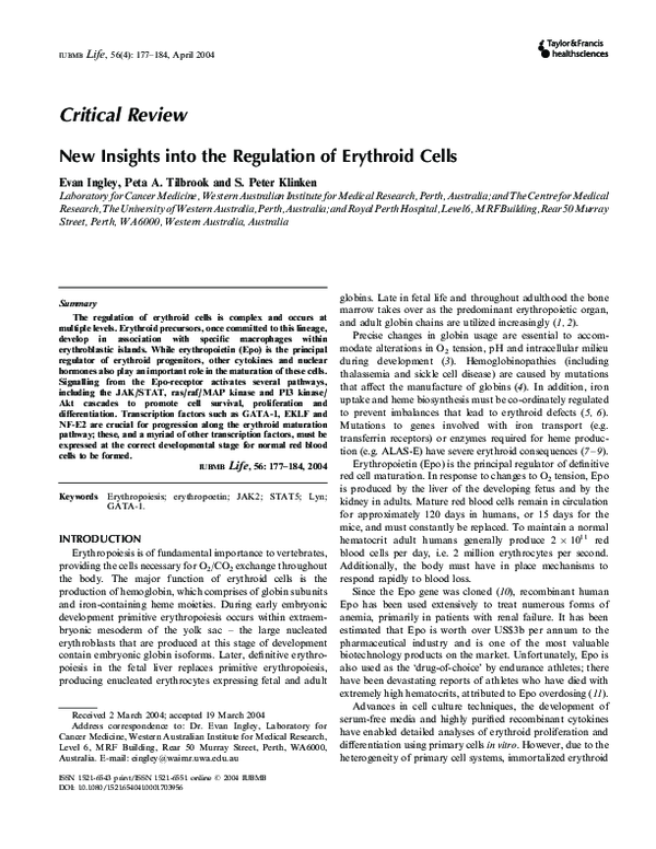 (PDF) New Insights into the Regulation of Erythroid Cells