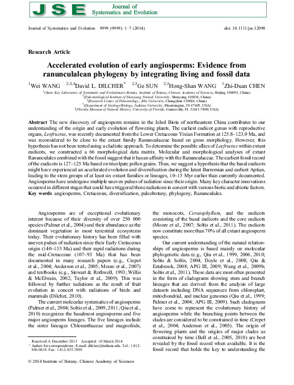 Angiosperms examples picture