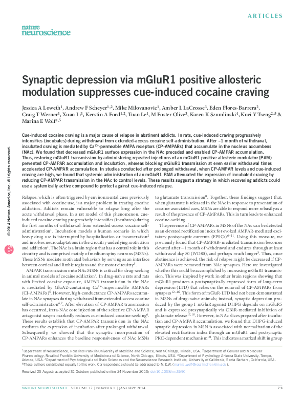 (PDF) Synaptic depression via mGluR1 positive allosteric modulation ...