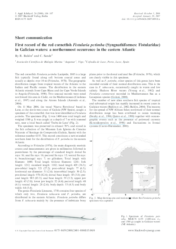 (PDF) First record of the red cornetfish Fistularia petimba ...