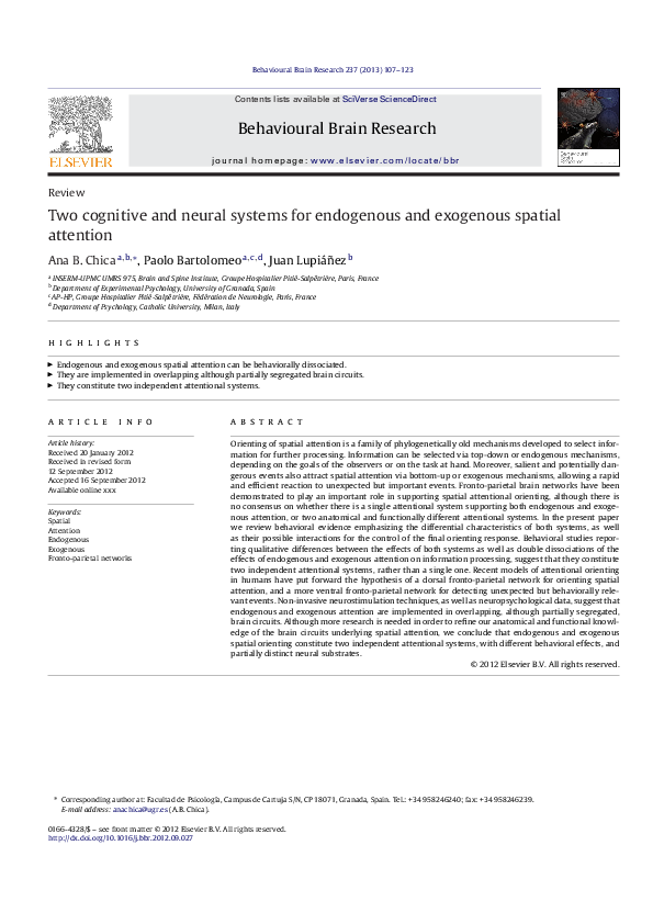 (PDF) Two cognitive and neural systems for endogenous and exogenous ...