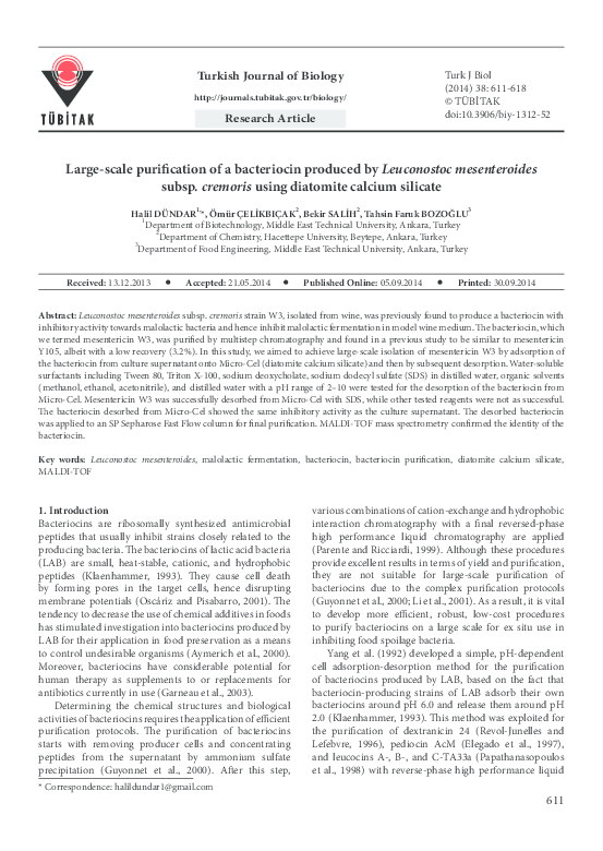 Diatomite essay image