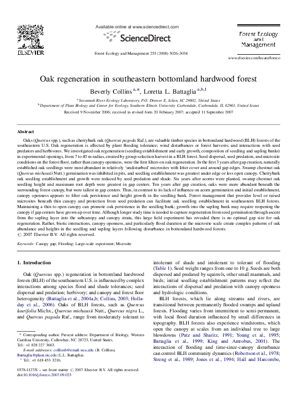 Regeneration book club questions image