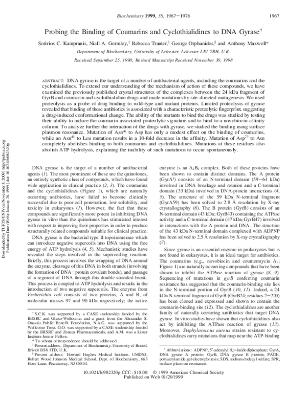 (PDF) Probing the Binding of Coumarins and Cyclothialidines to DNA Gyrase