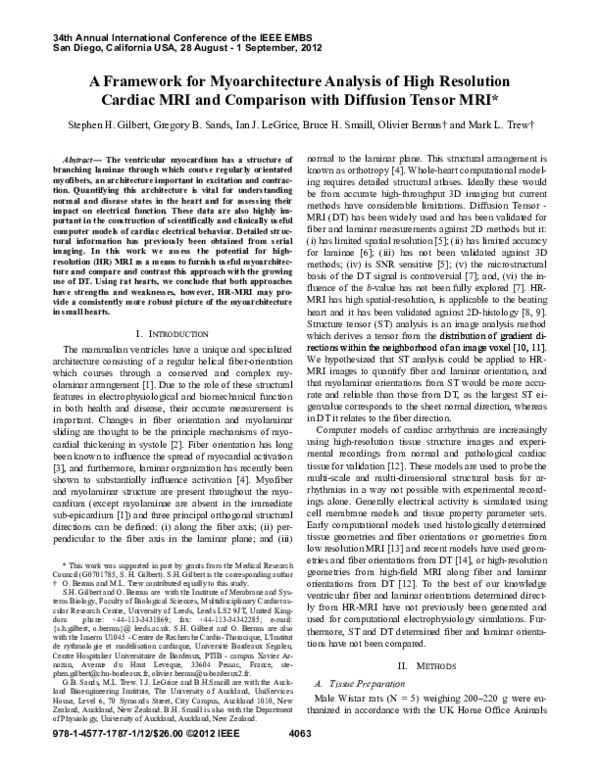 (PDF) A framework for myoarchitecture analysis of high resolution ...