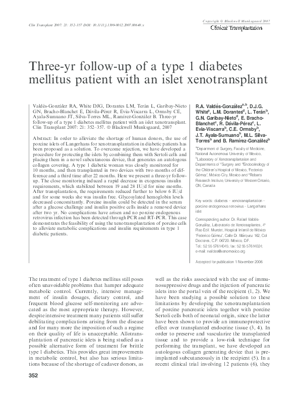 diabetes xenotrasplante diabetes xenotrasplante