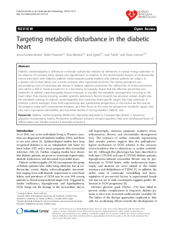 (PDF) Targeting metabolic disturbance in the diabetic heart