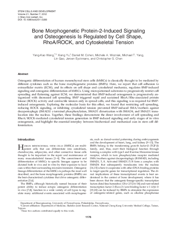 (PDF) Bone Morphogenetic Protein-2-Induced Signaling and Osteogenesis ...