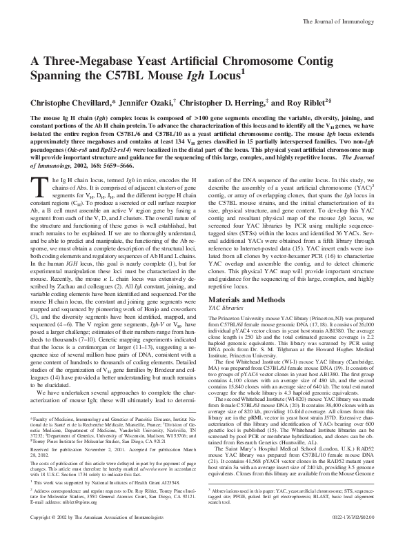 (PDF) A 3 megabase yeast artificial chromosome contig spanning the ...