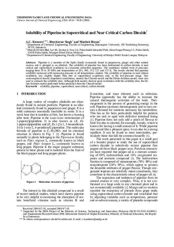 Hasan critical essays 03 image