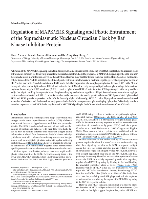 (PDF) Regulation of MAPK/ERK signaling and photic entrainment of the ...