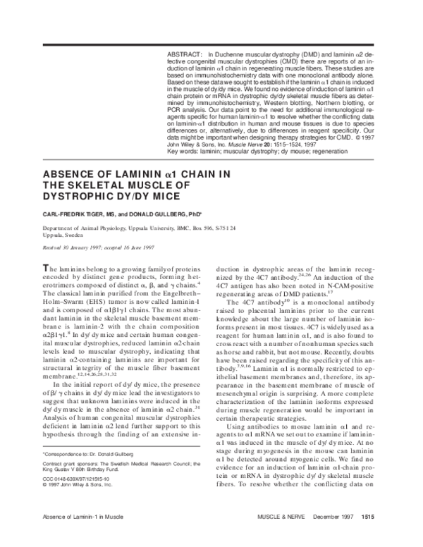 (PDF) Absence of laminin ?1 chain in the skeletal muscle of dystrophic ...