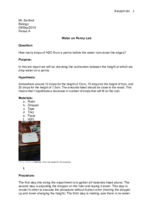 (DOC) Science Lab Report 1