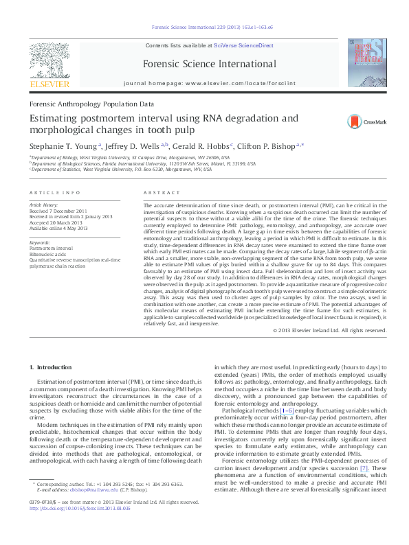 (PDF) Estimating postmortem interval using RNA degradation and ...