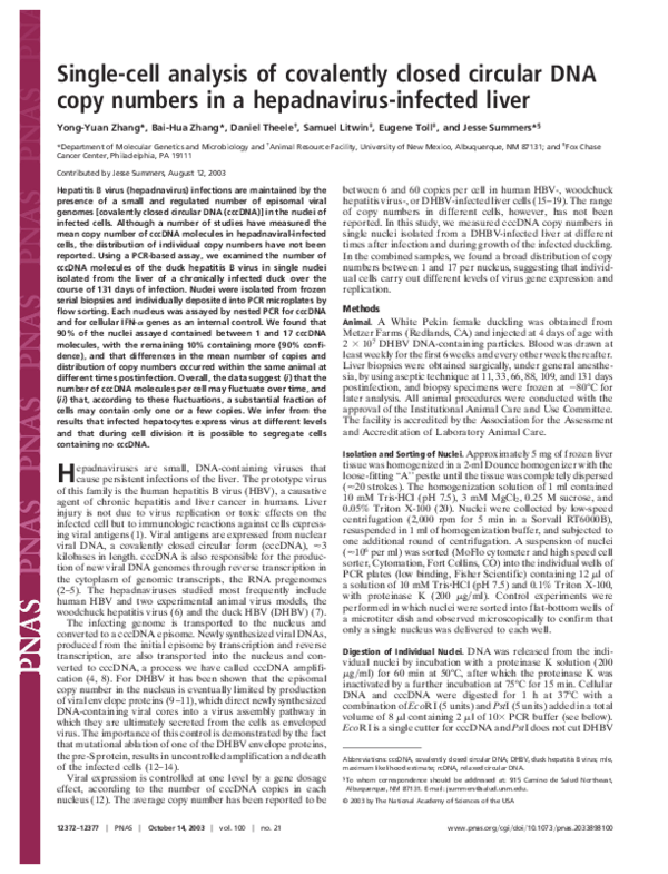(PDF) Single-cell analysis of covalently closed circular DNA copy ...