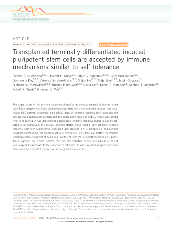 (PDF) Transplanted terminally differentiated induced pluripotent stem ...
