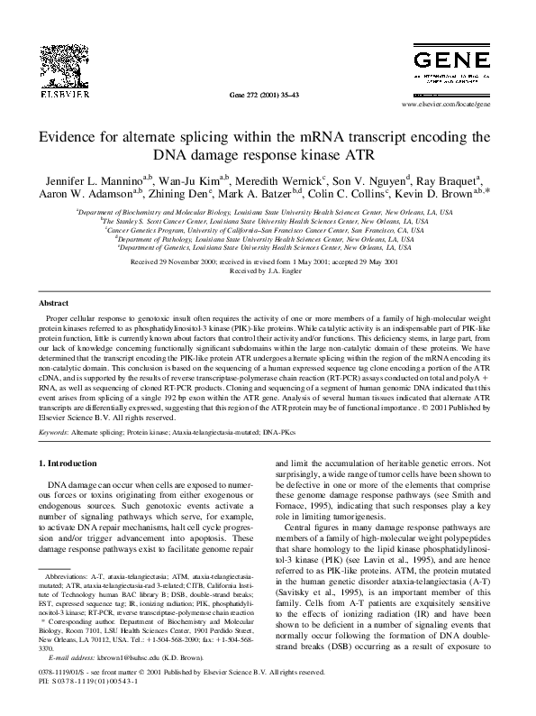 (PDF) Evidence for alternate splicing within the mRNA transcript ...