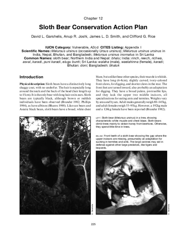 (PDF) Sloth Bear Conservation Action Plan