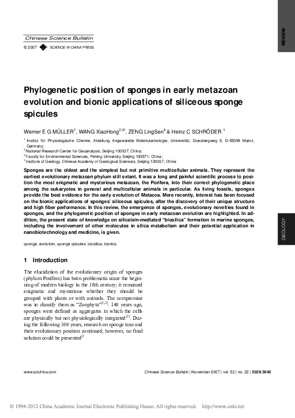 (PDF) position of sponges in early metazoan evolution and
