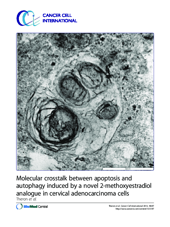 (PDF) Molecular crosstalk between apoptosis and autophagy induced by a ...