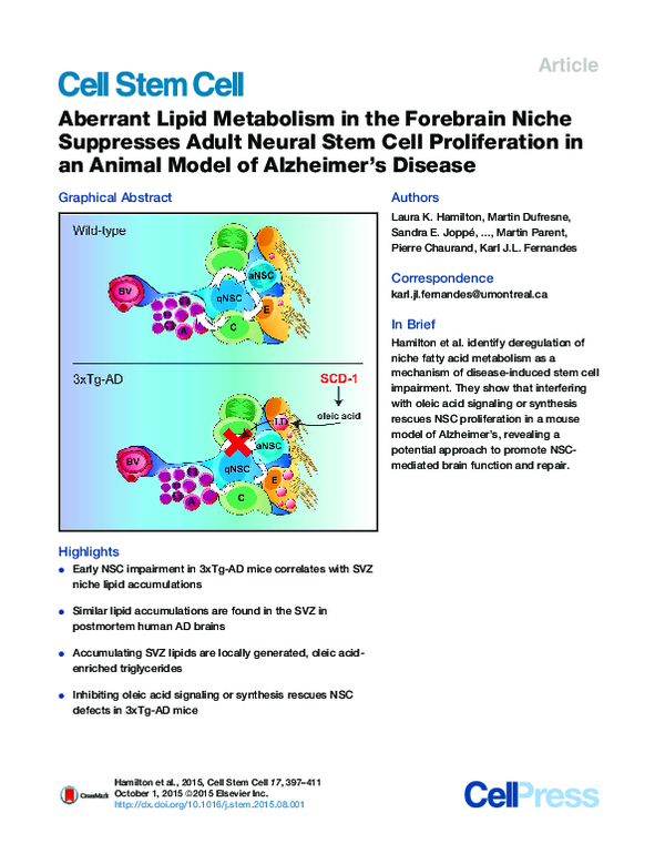 (PDF) Aberrant Lipid Metabolism in the Forebrain Niche Suppresses Adult