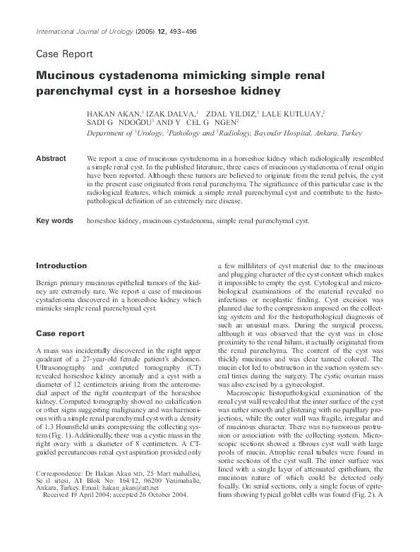 (PDF) Mucinous cystadenoma mimicking simple renal parenchymal cyst in a horseshoe kidney İzak