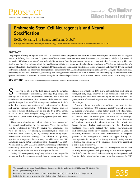(PDF) Embryonic stem cell neurogenesis and neural specification
