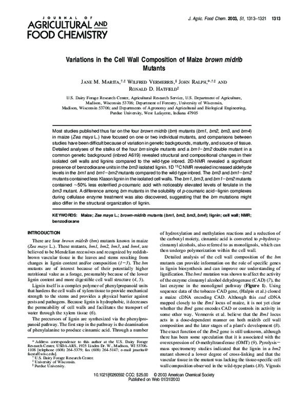 (PDF) Variations in the Cell Wall Composition of Maize brown midrib Mutants