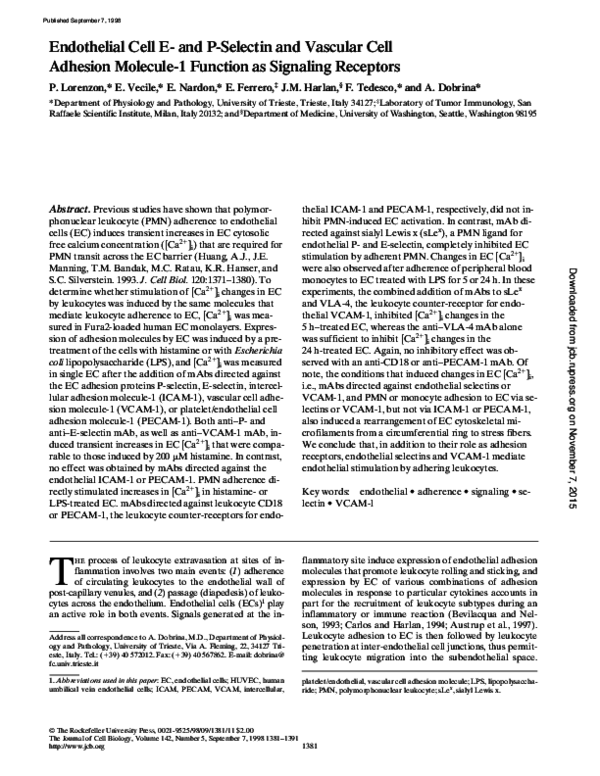 (PDF) Endothelial Cell E- and P-Selectin and Vascular Cell Adhesion ...