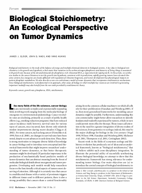 The sociological perspective essay picture