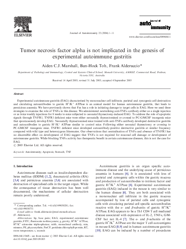 (PDF) Tumor necrosis factor alpha is not implicated in the genesis of ...