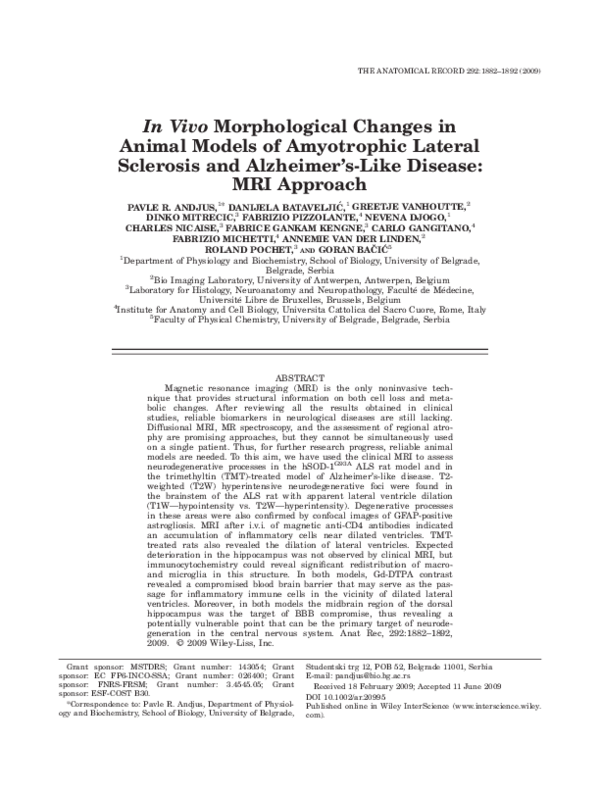 (PDF) In Vivo Morphological Changes in Animal Models of Amyotrophic ...