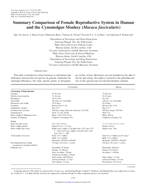 (PDF) Summary Comparison of Female Reproductive System in Human and the ...