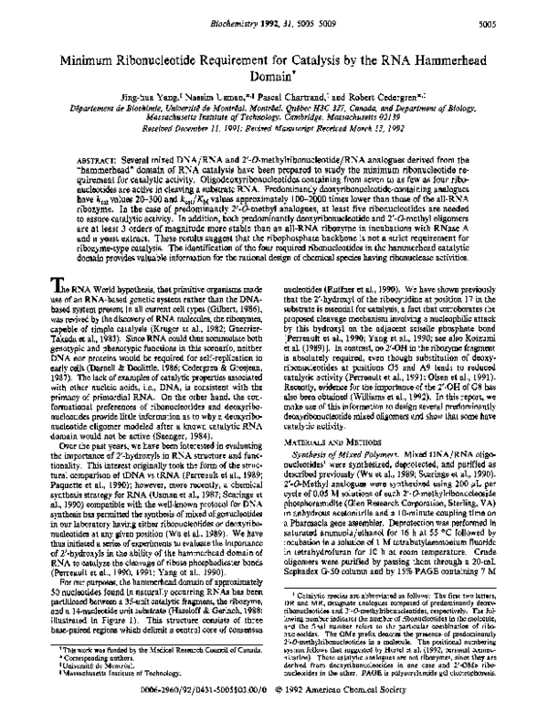 (PDF) Domain?