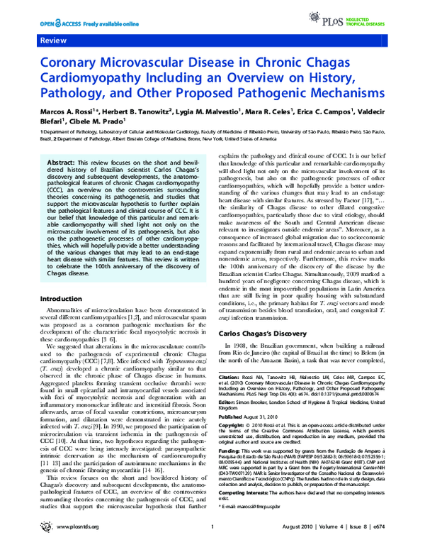 (PDF) Coronary Microvascular Disease in Chronic Chagas Cardiomyopathy ...