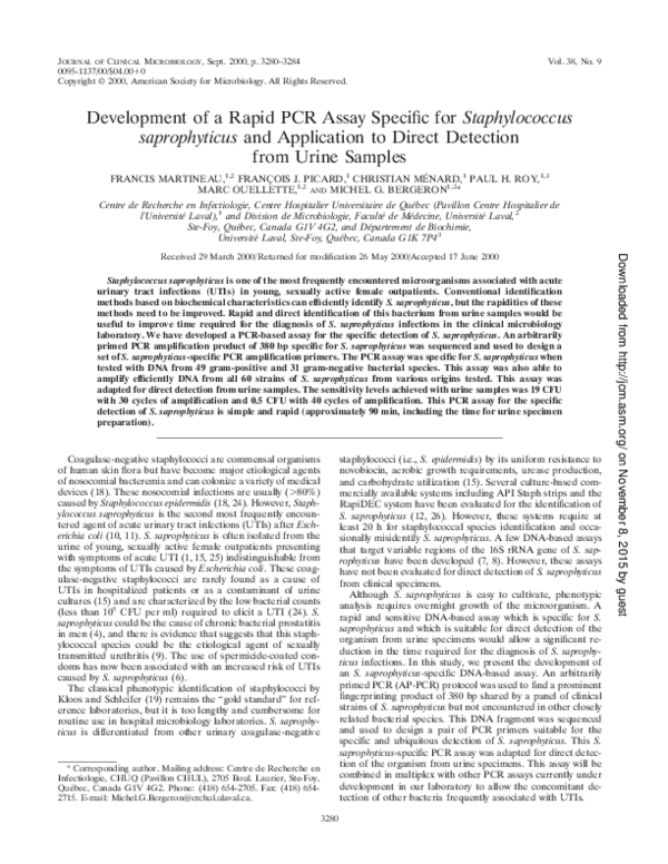 (PDF) Development of a rapid PCR assay specific for Staphylococcus ...