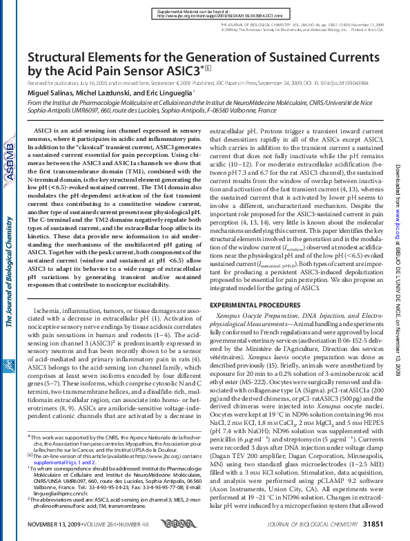 (PDF) Structural Elements for the Generation of Sustained Currents by ...