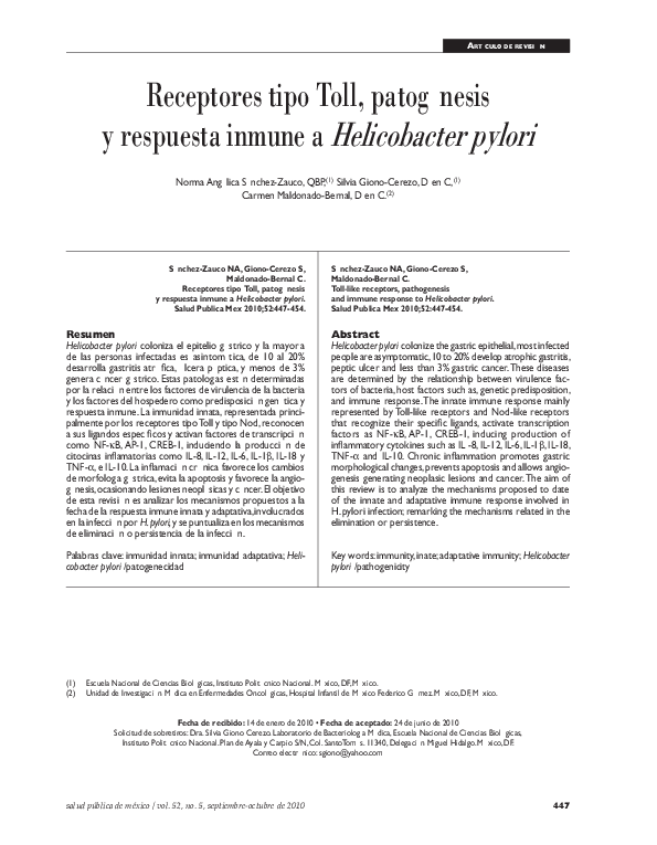 What is a dissertation picture