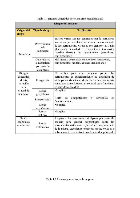 Entorno organizacional essay 05 picture
