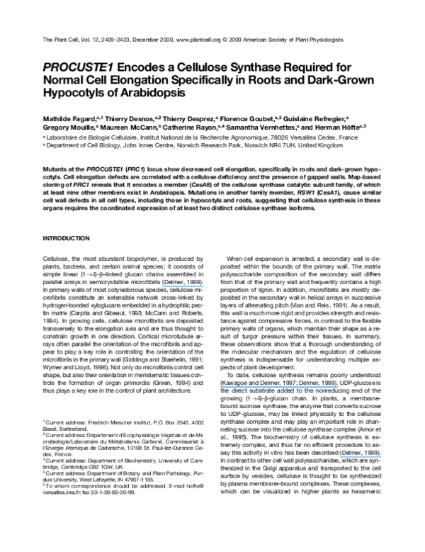 Reflective commentary examples picture