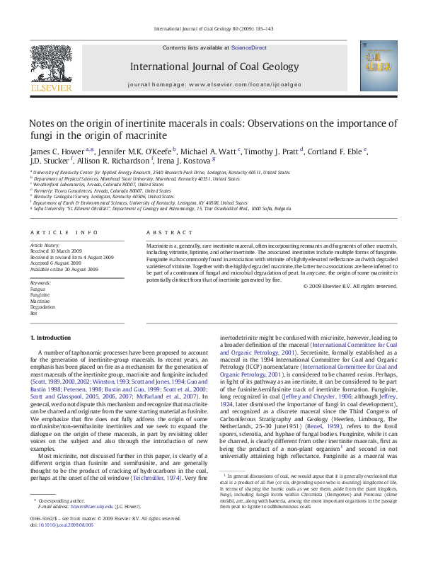 (PDF) Notes on the origin of inertinite macerals in coals: Funginite ...