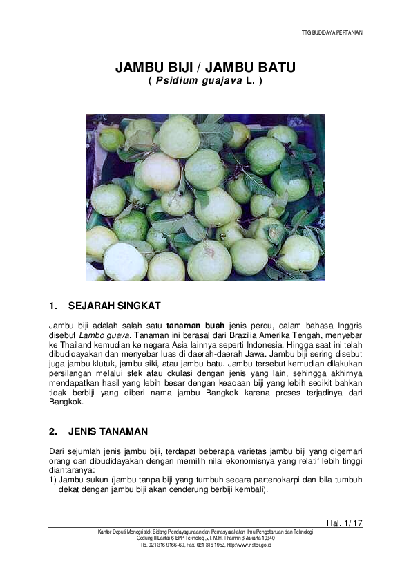 white dress brown sandals