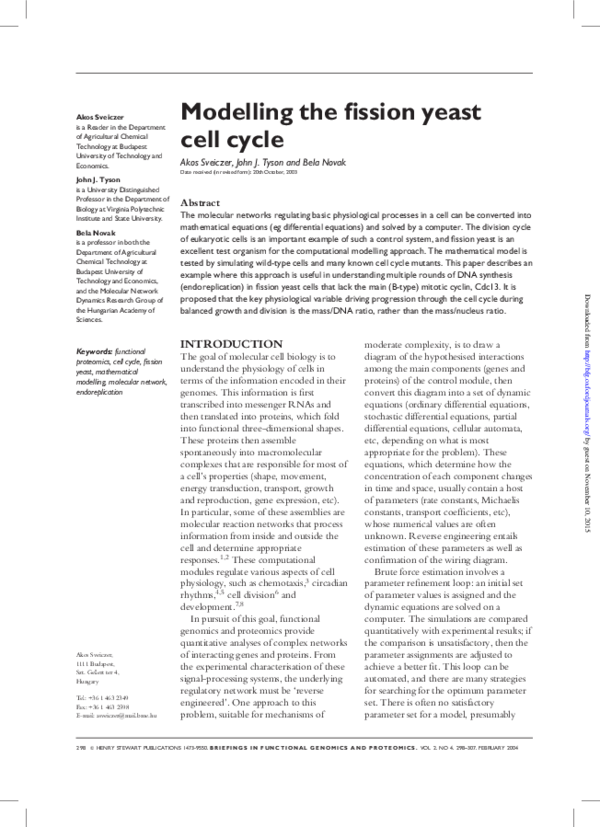 (PDF) Modelling the fission yeast cell cycle