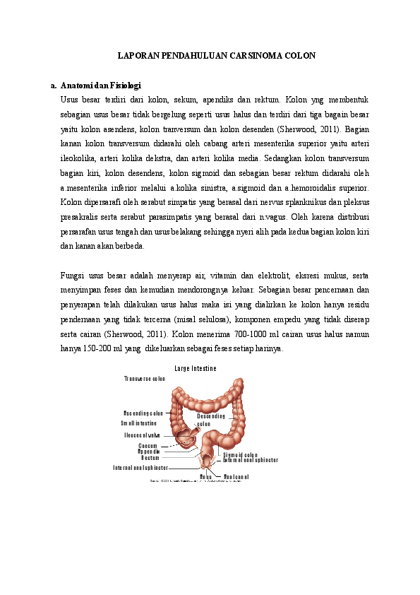 Laporan Pendahuluan Ca Endometrium Pdf Seputar Laporan