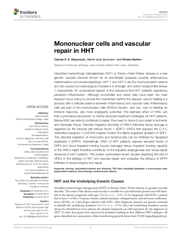 (PDF) Mononuclear cells and vascular repair in HHT