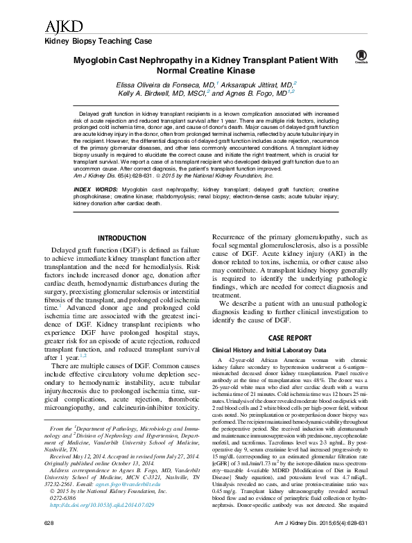 (PDF) Myoglobin Cast Nephropathy in a Kidney Transplant Patient With