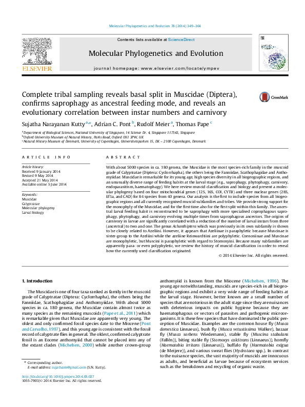 (PDF) Complete tribal sampling reveals basal split in Muscidae (Diptera ...