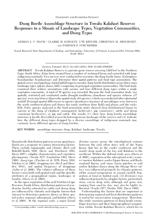 Where do beetles live image