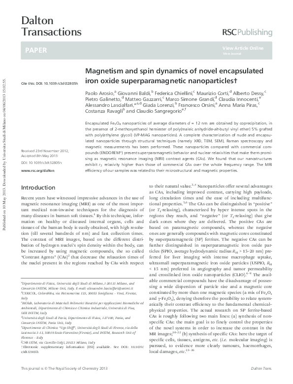 Magnetism and spin dynamics of novel encapsulated iron oxide ...